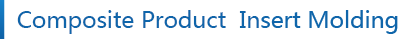 Composite Product Insert Molding