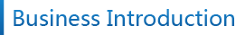 Business Introduction