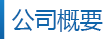 公司概要